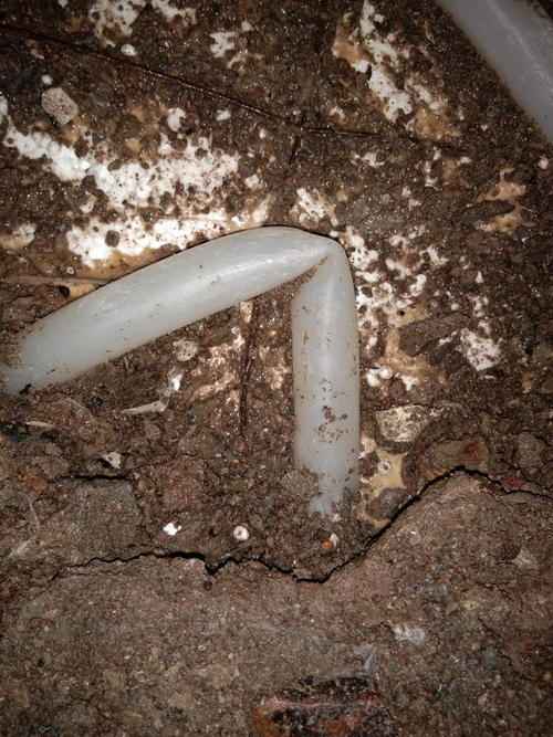 洛川堵点精准查找